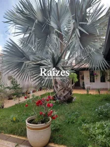 Casa com 3 Quartos à venda, 270m² no Santa Rosa, Uberlândia
