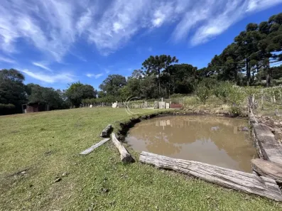 Fazenda/Sítio com 3 Quartos à venda, 15000m² no Linha 40, Caxias do Sul