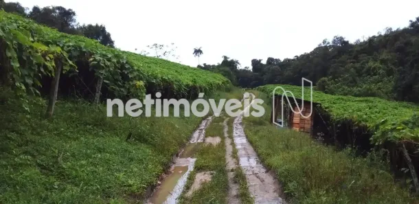 Fazenda/Sítio com 1 Quarto à venda, 242000m² no km Itimirim, Iguape