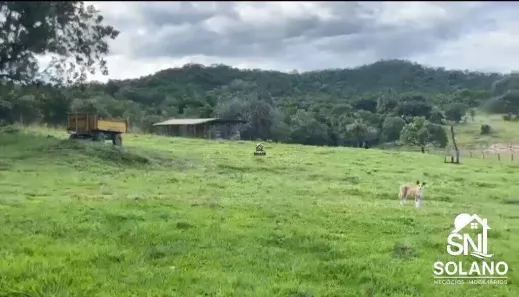 Fazenda/Sítio com 3 Quartos à venda, 98m² no , Faina