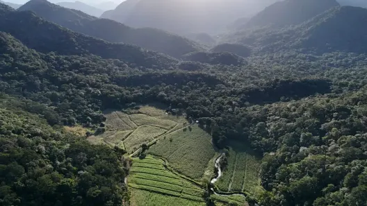 Fazenda/Sítio com 3 Quartos à venda, 160000m² no Área Rural de Cachoeiras de Macacu, Cachoeiras de Macacu