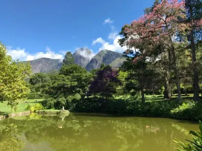Imóvel Comercial com 6 Quartos à venda, 275m² no Araras, Petrópolis