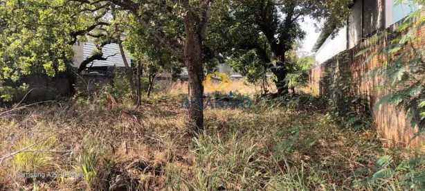 à venda, 1600m² no Plano Diretor Sul, Palmas