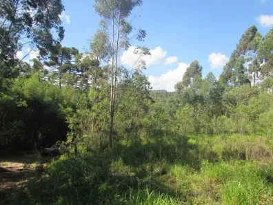 Fazenda/Sítio com 2 Quartos à venda, 290400m² no , Itapeva