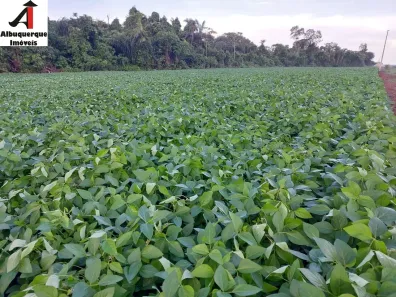 Fazenda/Sítio com 1 Quarto à venda, 22000m² no , Barra do Corda