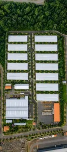 Galpão/Depósito/Armazém para alugar, 2000m² no Setor 3, Ibiporã