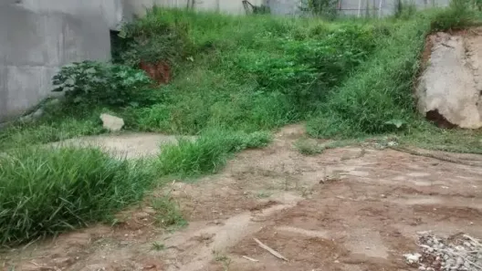 Lote/Terreno à venda, 245m² no Campestre, Santo André