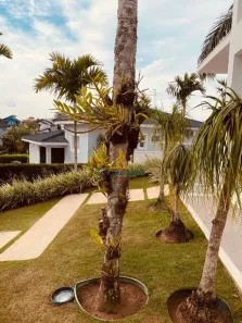 Casa de Condomínio com 4 Quartos para alugar, 599m² no Jardim das Cerejeiras, Arujá