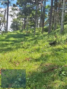 Lote/Terreno à venda, 48400m² no , Paraisópolis