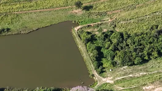 Fazenda/Sítio com 4 Quartos à venda, 1064800m² no Centro, Palestina