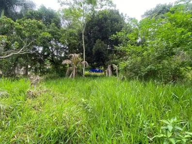 Fazenda/Sítio com 2 Quartos à venda, 80m² no Retiro do Brumado, Brumadinho