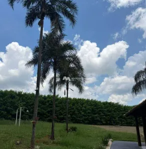 Fazenda/Sítio com 3 Quartos à venda, 7238m² no Engenheiro Balduino, Monte Aprazível