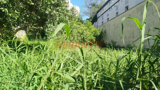 Lote/Terreno à venda, 757m² no Água Fria, São Paulo