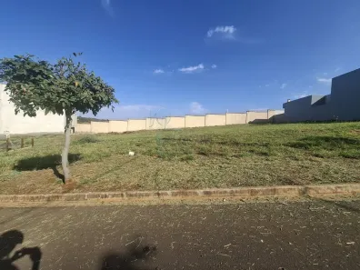 Lote/Terreno à venda, 289m² no Reserva San Pedro, Ribeirão Preto