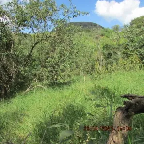 Lote/Terreno à venda, 3151m² no Recanto das Acácias, São Roque