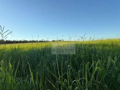 Fazenda/Sítio à venda, 900m² no , Recursolândia
