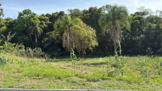 Lote/Terreno à venda, 438m² no Jardim Panoramico, Ivoti