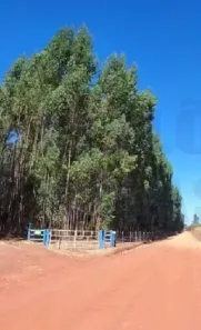 Fazenda/Sítio à venda, 163963m² no , Silvânia