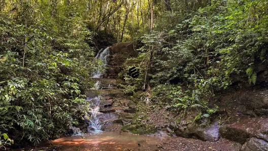 Fazenda/Sítio à venda, 190m² no Vale Esquerdo, Dois Irmãos