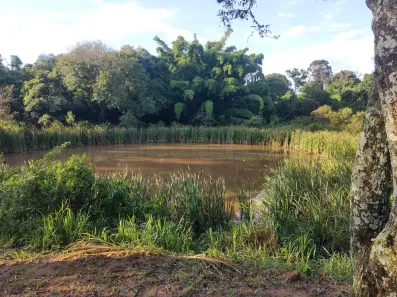 Fazenda/Sítio com 8 Quartos à venda, 72600m² no , Monte Alegre do Sul