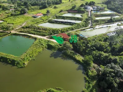 Fazenda/Sítio à venda, 50000m² no Centro, Guarabira