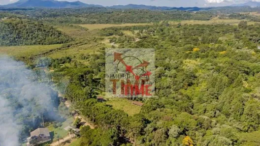 Fazenda/Sítio com 5 Quartos à venda, 129m² no Borda do Campo, São José dos Pinhais
