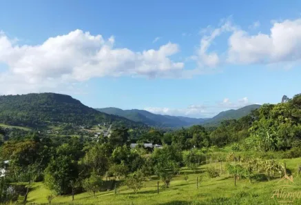 Lote/Terreno à venda, 815m² no São João, Picada Café
