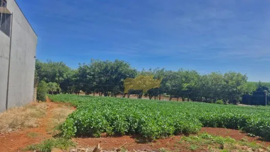 Lote/Terreno à venda, 100m² no Engenho Velho, Cordeirópolis
