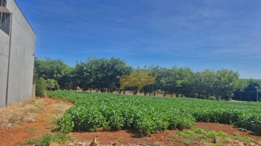 Lote/Terreno à venda, 100m² no Perobas, Cordeirópolis