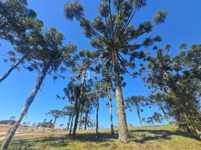 Lote/Terreno à venda, 1060m² no Centro, Rancho Queimado