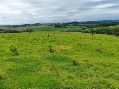 Fazenda/Sítio à venda, 250228m² no Vila São Gonçalo, Itapetininga