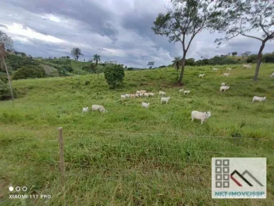 Fazenda/Sítio à venda, 500m² no , Padre Bernardo