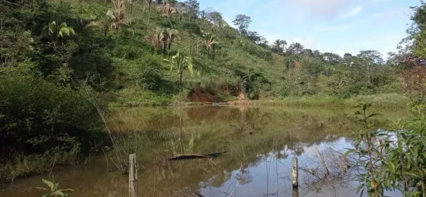 Fazenda/Sítio com 3 Quartos à venda, 140000000m² no Setor Habitacional Fercal, Brasília