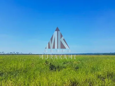 Fazenda/Sítio com 1 Quarto à venda, 8800m² no , Paranatinga