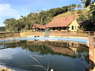 Fazenda/Sítio à venda, 350000m² no Gaspar Grande, Gaspar