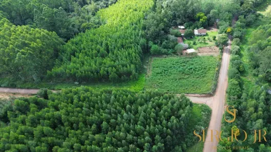Fazenda/Sítio à venda, 72000m² no , Triunfo