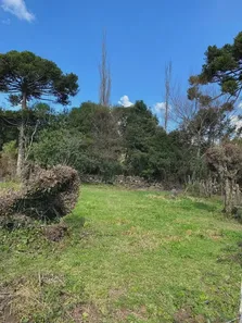 Lote/Terreno à venda no Centro, Urupema
