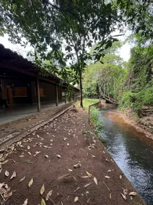 Fazenda/Sítio à venda, 6600m² no , Bonfinópolis
