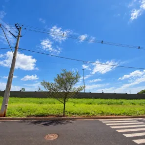 Lote/Terreno com 1 Quarto à venda, 302m² no Floresta, Floresta