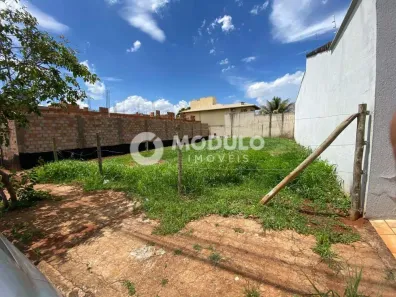 Lote/Terreno à venda, 324m² no Santa Mônica, Uberlândia