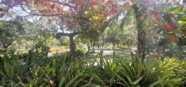 Lote/Terreno à venda, 1000m² no Centro, Santa Cruz Cabrália