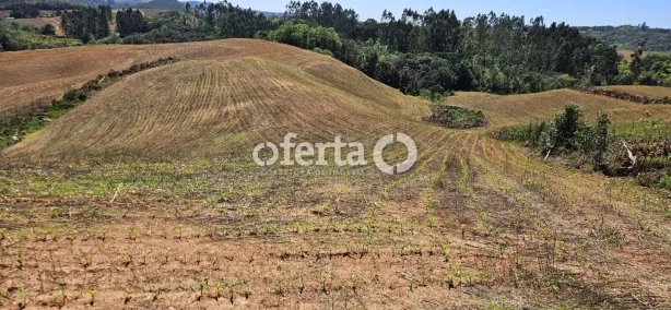 Fazenda/Sítio à venda, 60500m² no Área Rural, Quitandinha