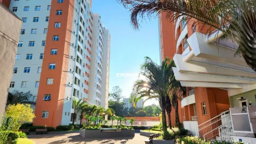 Apartamento com 3 Quartos para alugar, 75m² no Garcia, Blumenau