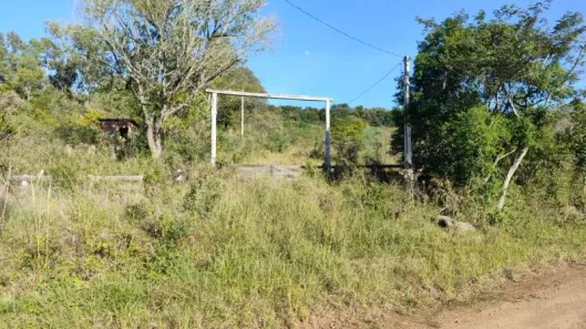 Fazenda/Sítio à venda, 10000m² no Morro da Figueira, Rolante