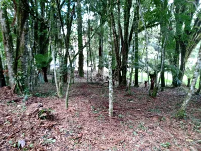 Lote/Terreno à venda, 640m² no Parque Laje da Pedra, Canela