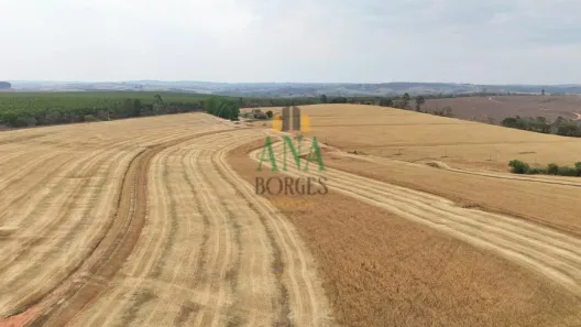 Fazenda/Sítio com 1 Quarto à venda, 342m² no Centro, Itapetininga