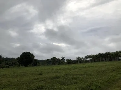 Lote/Terreno à venda, 50000m² no Área Rural de Manaus, Manaus