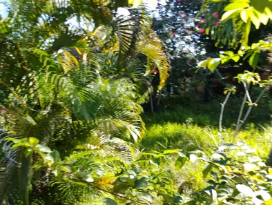 Lote/Terreno à venda, 255m² no Itapuã, Salvador
