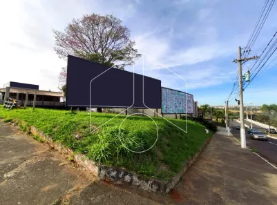 Lote/Terreno para alugar, 363m² no Barbosa, Marília