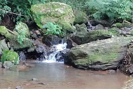 Fazenda/Sítio com 4 Quartos à venda, 147m² no Pinhal Alto, Nova Petrópolis